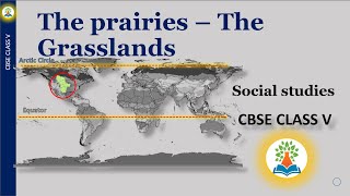 The prairies  The Grasslands  Class 4  What is known as the prairies Where are the grasslands [upl. by Leahcimrej]