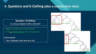 How to Do Constituent and Complement Tests [upl. by Parrish966]