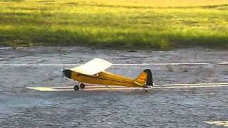 RC Goldberg Piper Cub  Electric [upl. by Assilav]