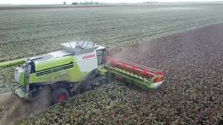 Sorghum harvest 2022 brookstead qld Australia [upl. by Retsila]