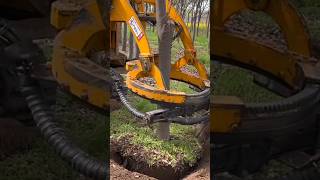 treedidingvideo didingmachine treeplanting treedidingmachine [upl. by Zetra]