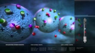 Ion Exchange Chromatography [upl. by Joerg99]