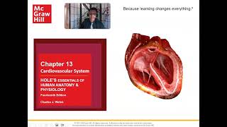 Ch 13 Cardiovascular System Layers of the Heart [upl. by Suissac]