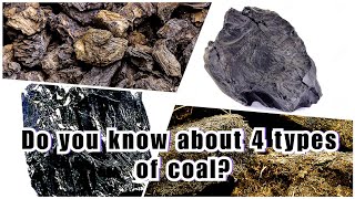 4 TYPES OF COAL [upl. by Sigismondo327]