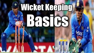 Best Drill for Wicket keepers  How to improve Wicket keeping Skills [upl. by Marcie]