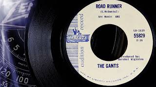 The Gants  Road Runner 1965 [upl. by Cordy787]