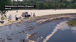 Singapore’s Sentosa Island Beaches Impacted By Oil Spill [upl. by Camellia]