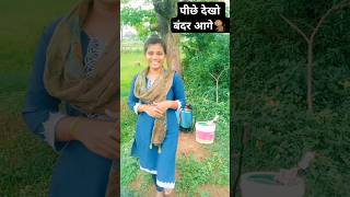 aisne cg video dekhe bar channel🤗 la subscribe kro sangawari ho jaldi jaldi🙏 [upl. by Doris]