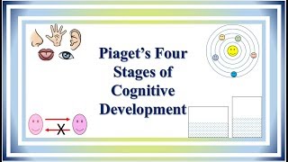 Piaget’s Four Stages of Cognitive Development [upl. by Nevag891]