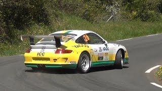 Rallye Lyon Charbonnières 2014 HD  Shakedown [upl. by Hoseia861]