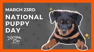 National Puppy Day  March 23rd  National Day Calendar [upl. by Gavrilla]