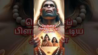 நெஞ்சைப் பிளந்து காட்டிய அனுமன் hanuman ram seetha anuman ramayan facts history tamil [upl. by Juliann]