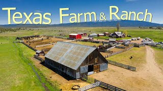 How Texas Farmers Are Running 247000 Farms And Ranches  Farming Documentary [upl. by Proffitt22]