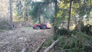 Mit den Güldner Allrad im Herbstwald [upl. by Animar]