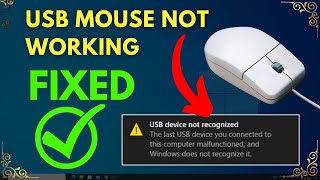 Mouse Not Working Windows 10 Solved  Fix USB Mouse Not Working in Laptop [upl. by Allenaj]