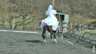 Horse Riding In A Wedding Dress [upl. by Kirad]