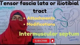 Fascia lata I modification of Fascia lata  clinical intermuscular septum ayesha medical education [upl. by Caria764]