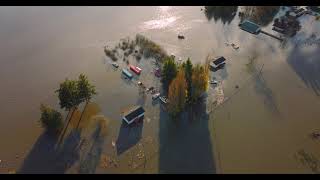 Skagit River Flooding 2021 Sedro Woolley [upl. by Vance829]