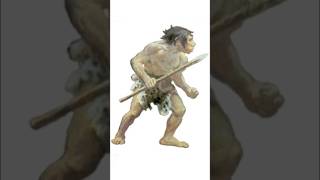 Neanderthal in our DNA [upl. by Stockmon]