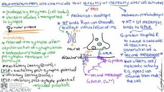 Neurotransmitters amp Receptors [upl. by Haelahk978]