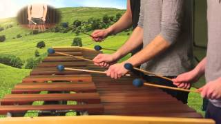 Zelda Ocarina of Time  Hyrule Field Theme on Marimba [upl. by Lathe]