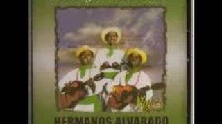 LOS HERMANOS ALVARADOUN TESTIMONIO [upl. by Adleremse]