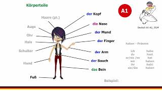 Deutsch Lernen A1  Wortschatz  Körperteile  Konjugation des Verbs haben im Präsens [upl. by Brandtr261]