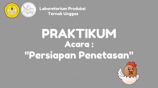 PRAKTIKUM PERSIAPAN PENETASAN [upl. by Deck635]