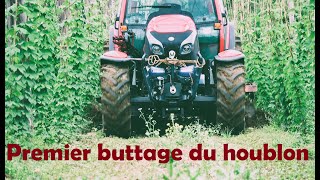 Premier buttage du houblon  2024  Lintrac 100 [upl. by Horn]