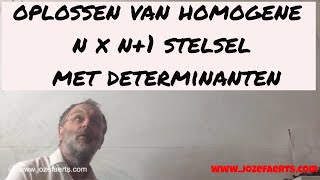 619 Homogeen n x n1 stelsel met determinanten [upl. by Disario616]