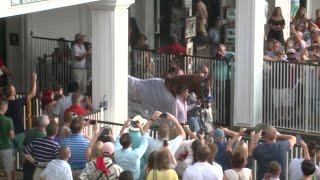 Fans cheer Triple Crown winner Justify during parade lap [upl. by Johanna156]