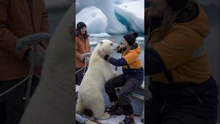 Polar Bears Heartwarming Rescue polarbearrescue wildlifeconservation arcticanimals [upl. by Aniela844]