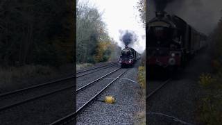 The EARL at HIGH SPEED ROARS past with a WHISTLE steamtrain train shortsvideo shorts [upl. by Niraa]