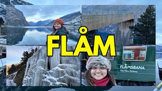 🇳🇴NORDIC TRIP EP2 FLÅM  NORWAY  SCENIC TRAIN RIDE  FLÅMSBANA  STEGASTEIN  VIKING VILLAGE [upl. by Yrrag]