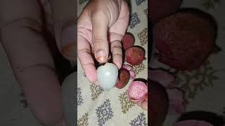 How to eat lycheelychee fruit subscribe shortvideos youtube viral food snacks shorts [upl. by Glanti]