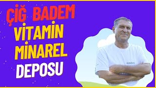 ÇİĞ BADEMİN FAYDALARI NELERDİR TATLI BADEM NEYE İYİ GELİR NE İŞE YARAR [upl. by Aneelad400]