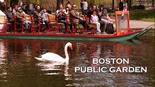 Boston Public Garden A Spring Day of Flowers Music amp Swan Boats [upl. by Nethsa]