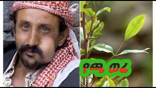 የጫት ወሬ by ustaz sadat kemal best new Amharic dawa [upl. by Aztin]