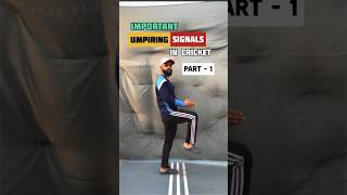 Know Umpire’s Signals in Cricket 👆🪧 [upl. by Zilber155]