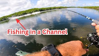 Fishing Channels amp Mangroves in the Keys Catch amp Cook [upl. by Kcirdor]