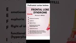 Prefrontal cortex lesion frontal lobe syndrome [upl. by Benedix]