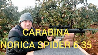 CARABINA NORICA SPIDERCALIBRE 635 joselucarabinaspcp [upl. by Bradley]