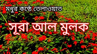 beautiful surah al mulk  beautiful quran tilawat  মধুর কন্ঠে তিলাওয়াত সূরা আল মুলক [upl. by Pennebaker]