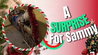 VlogMas 2023 Day 4  A Surprise For Sammy [upl. by Herculie343]