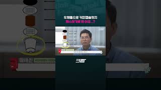 이거까지 넣을 수 있다고요 전성기 시절 지난 우체통의 생존 비결 들어봄｜크랩 [upl. by Rokach]