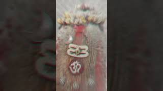 Mahakaleshwar Jyotirling Aaj Ke Darshan mahakal youtubeshortsshortvideo trending viralvid My [upl. by Naivaj]