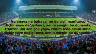 Trabzonspor Tezahüratları  Ne Anaya Ne Babaya [upl. by Chud398]