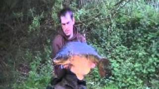 Bawburgh Lakes Norfolk Apple Slice Mirror Carp 35lb [upl. by Sera]