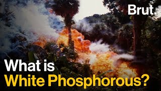 White Phosphorous Explained [upl. by Eniamert]