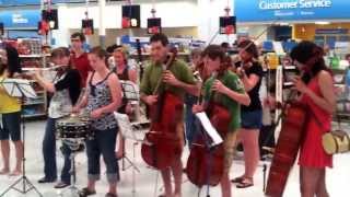 Orchestra Flash Mob [upl. by Ahtenak]